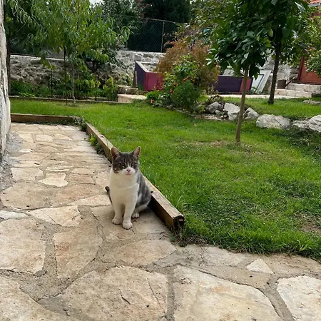 Villa Stone House With Pool Ivisovo Greblje